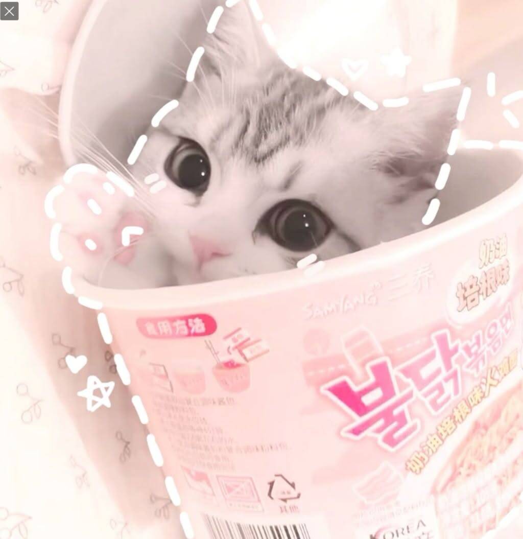 Foto de perfil de un lindo gatito dentro de una caja