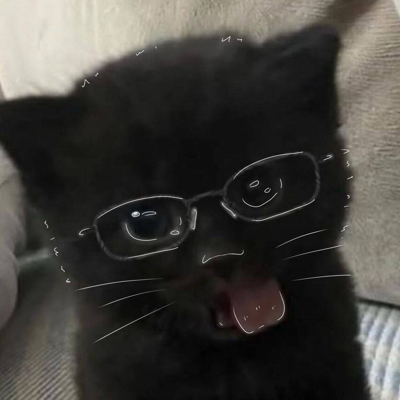 Foto de Perfil Preta de Gato Engraçado com Óculos