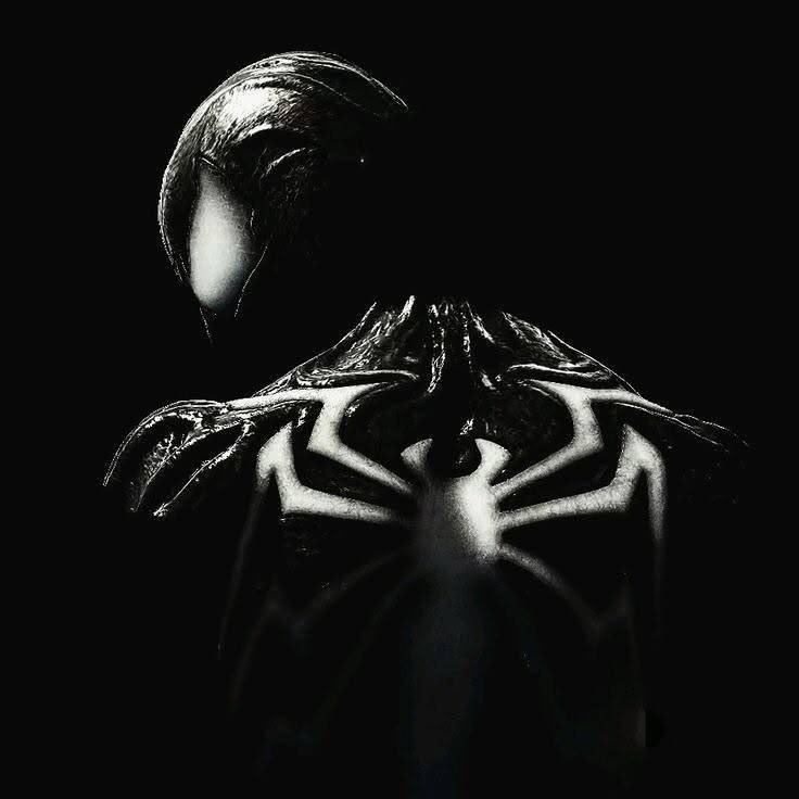 Foto de Perfil Preta do Homem Aranha em Silhueta