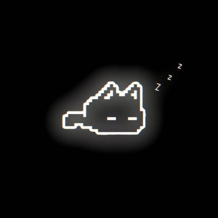 Foto de Perfil Preta de Gato Pixelado Dormindo