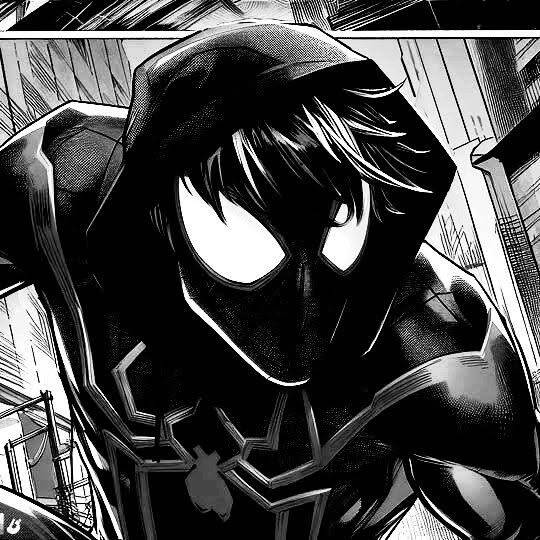 Foto de Perfil Preta do Homem Aranha em Estilo Anime