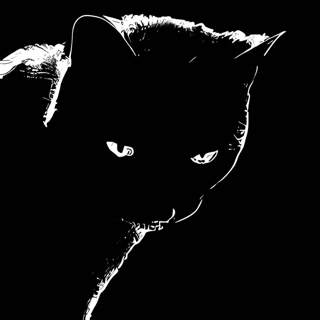 Foto de Perfil Preta de Gato Silhouette