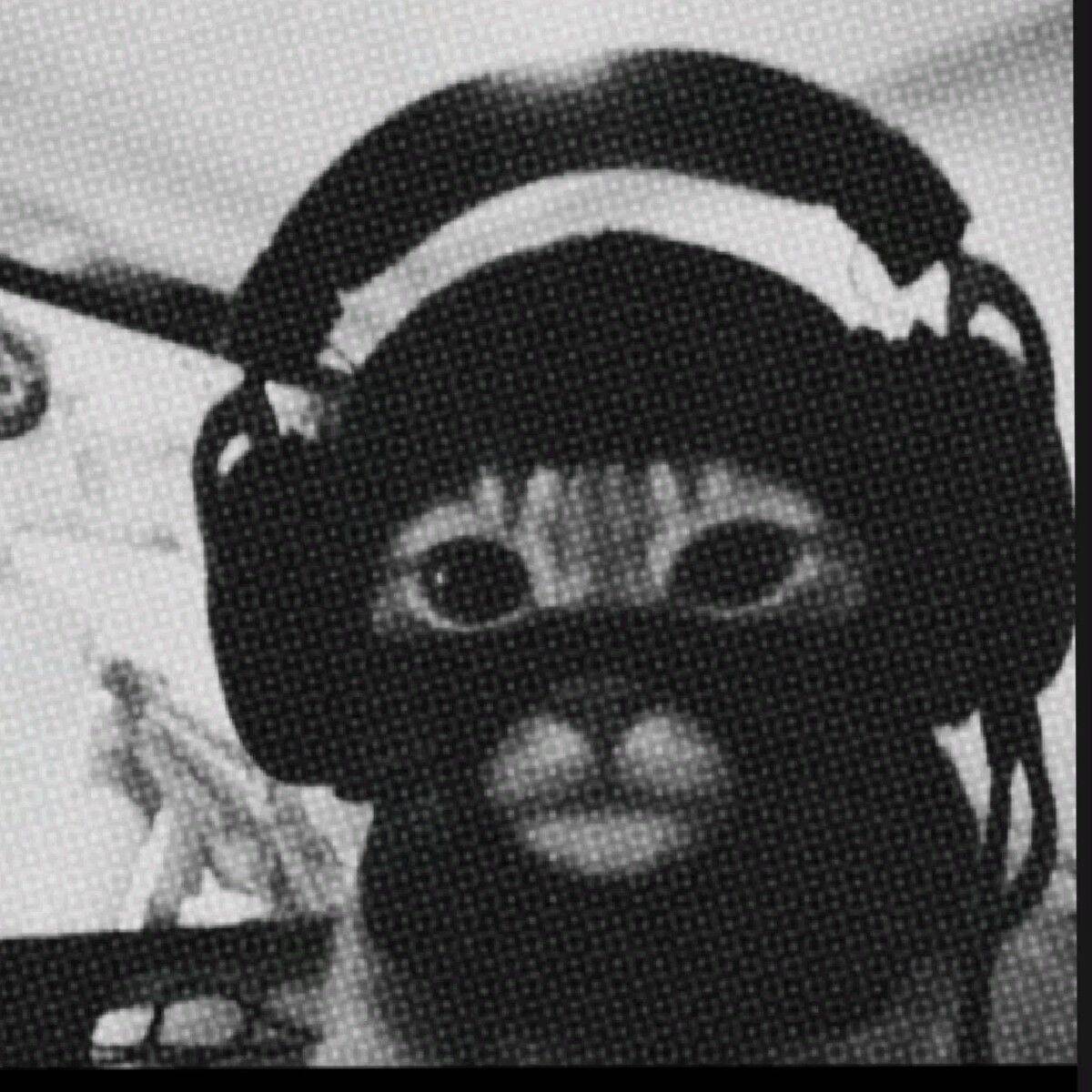 Foto de Perfil Preta de Gato com Fones de Ouvido