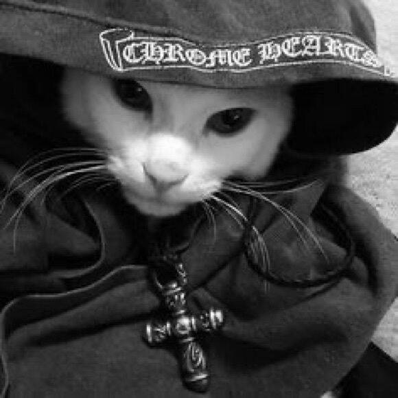 Foto de Perfil Preta de Gato com Capuz