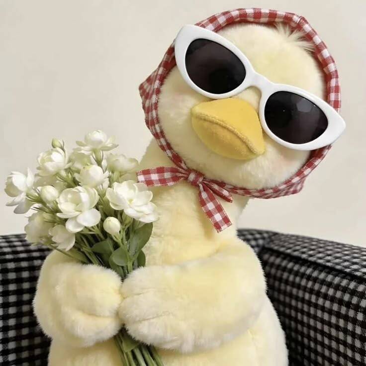 Foto de Perfil Aesthetic de Pato Fofo com Óculos Escuros