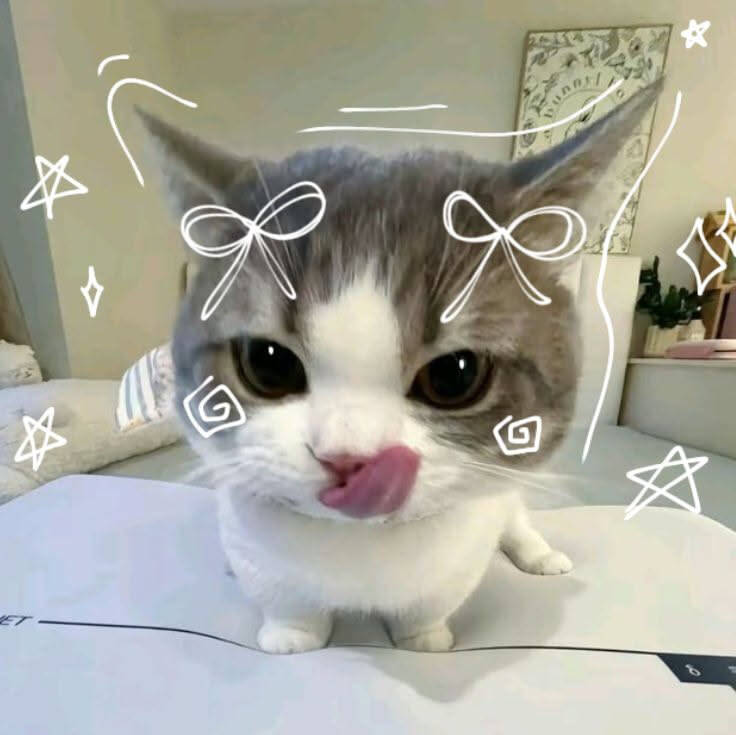 Foto de perfil estética de un lindo gato con estilo divertido