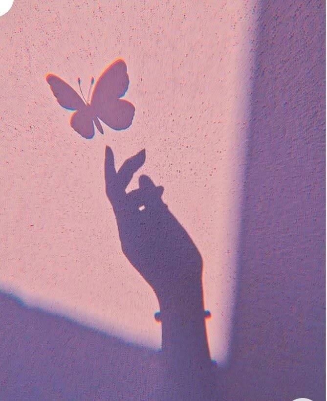 Foto de Perfil Aesthetic com Sombra de Borboleta
