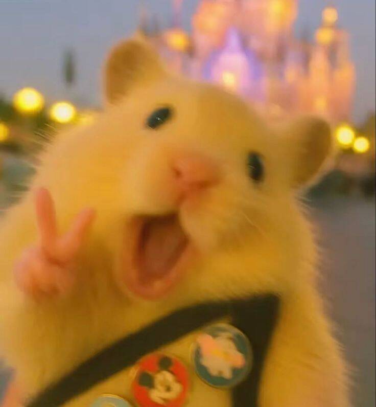 Foto de Perfil Aesthetic do Hamster Fofo em Frente ao Castelo