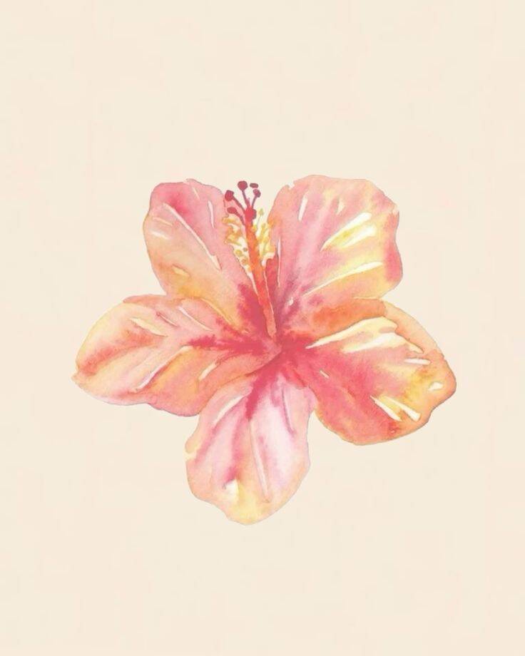 Foto de Perfil Aesthetic com Flor Rosa em Aquarela