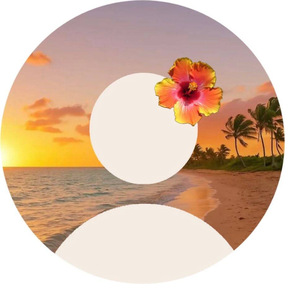 Foto de Perfil Aesthetic de Pôr do Sol na Praia com Flor