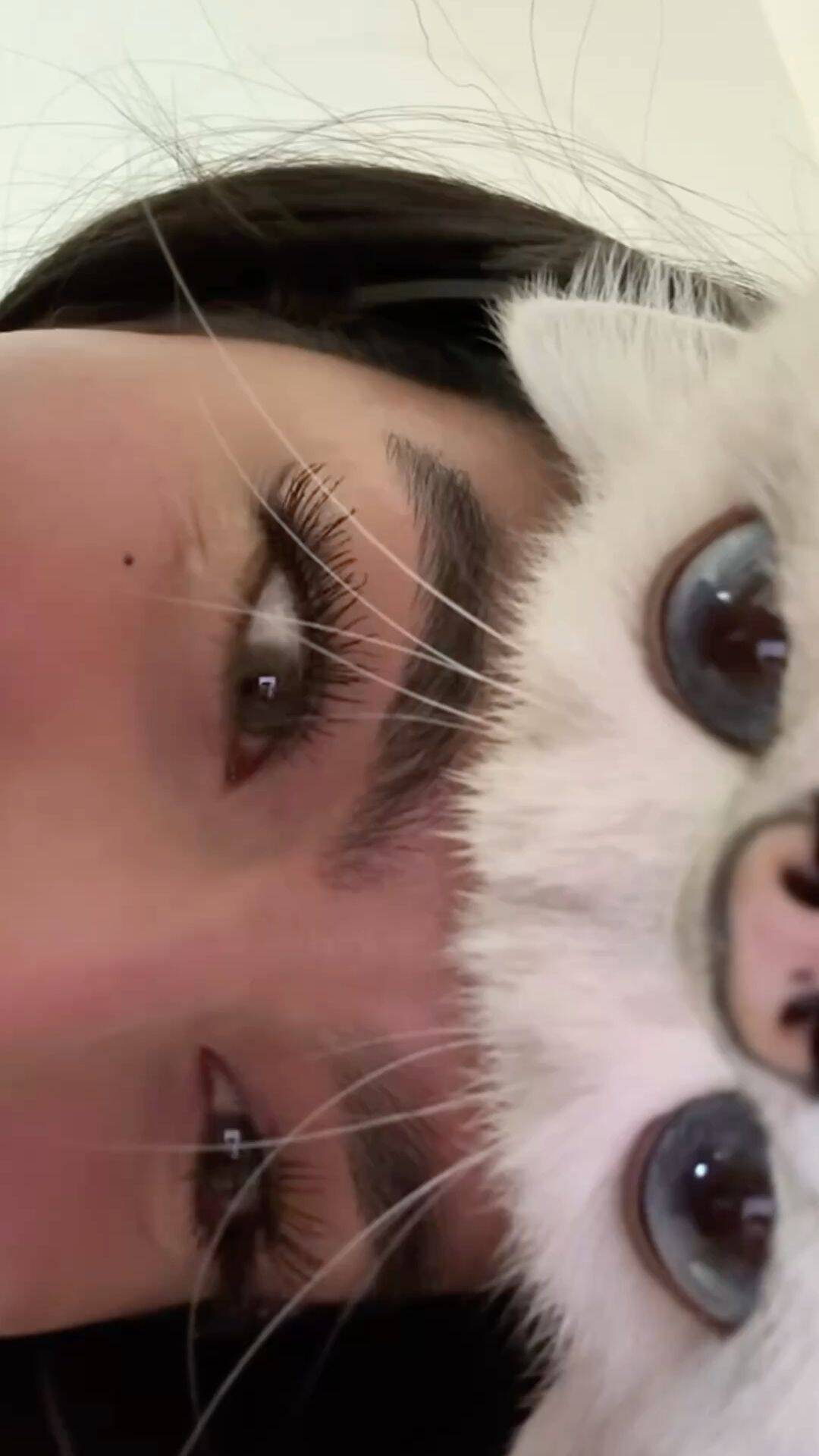 Foto de perfil estética con ojos de gato y sonrisa.