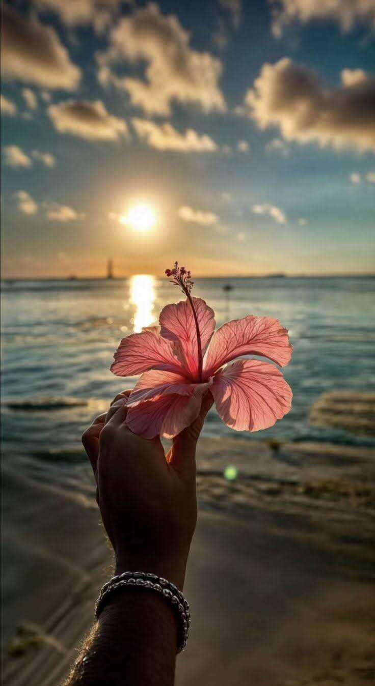 Foto de Perfil Aesthetic com Flor no Pôr do Sol