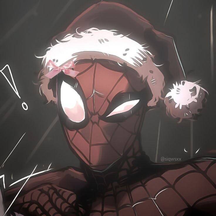 Photo de profil pour TikTok de Spiderman avec un chapeau de Noël