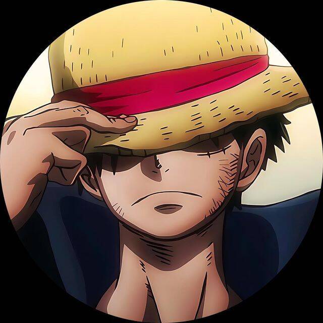 Photo de profil TikTok Anime Chapeau de Paille