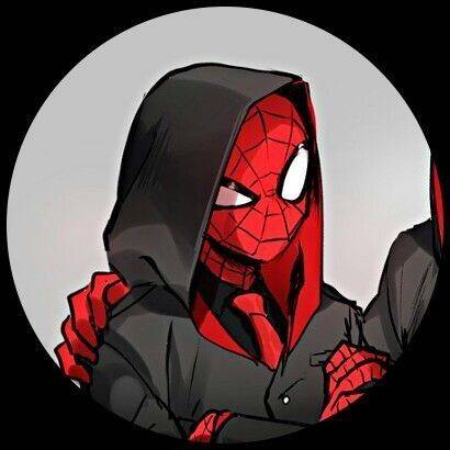 Hooded Spider-Man TikTok Pfp Profile Picture