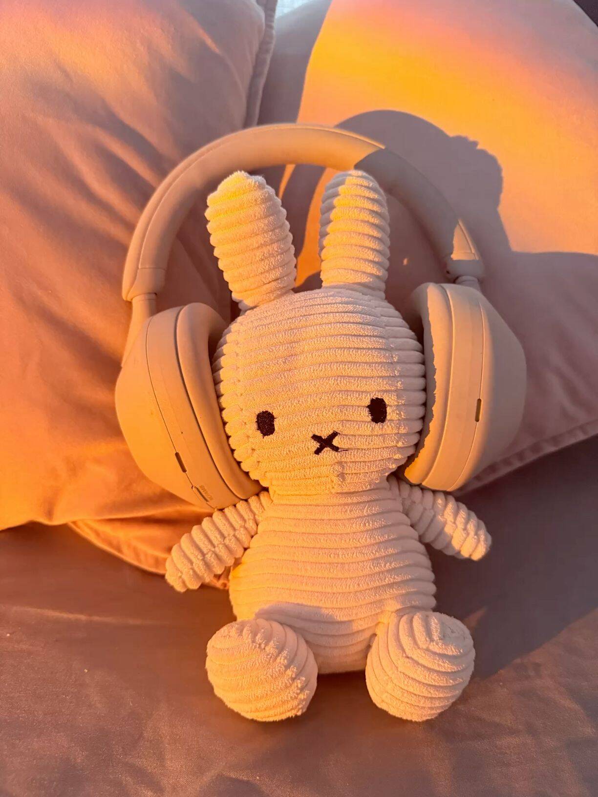 Pfp Profile Picture for TikTok of Bunny with Headphones