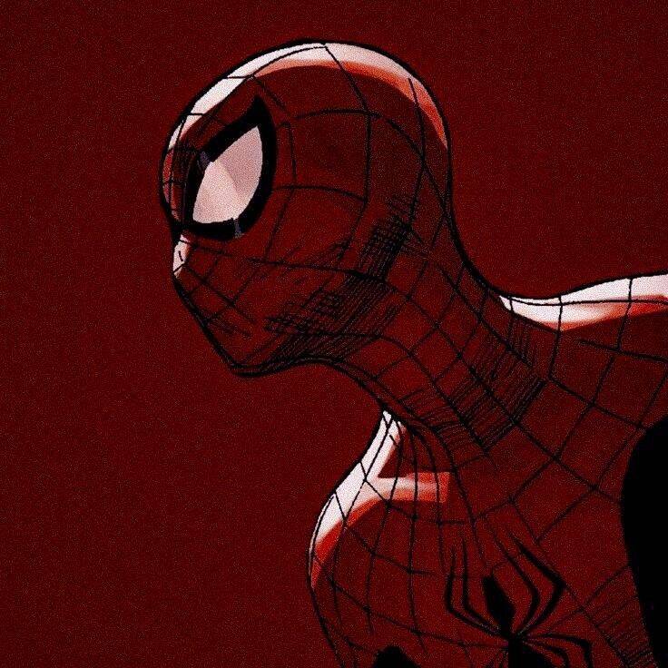 Foto de Perfil para TikTok do Homem Aranha Estilo Quadrinhos