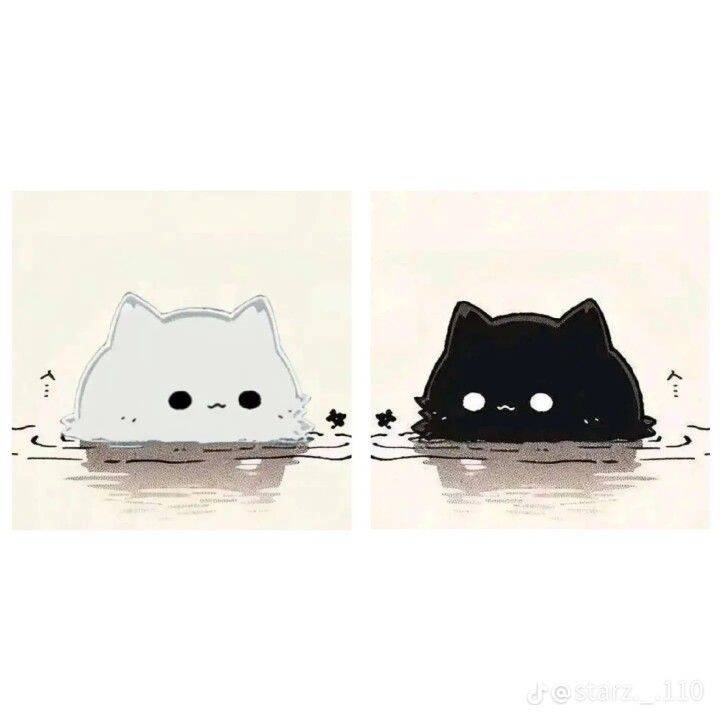 Foto de Perfil para Casal Combinando de Gatinhos Adoráveis