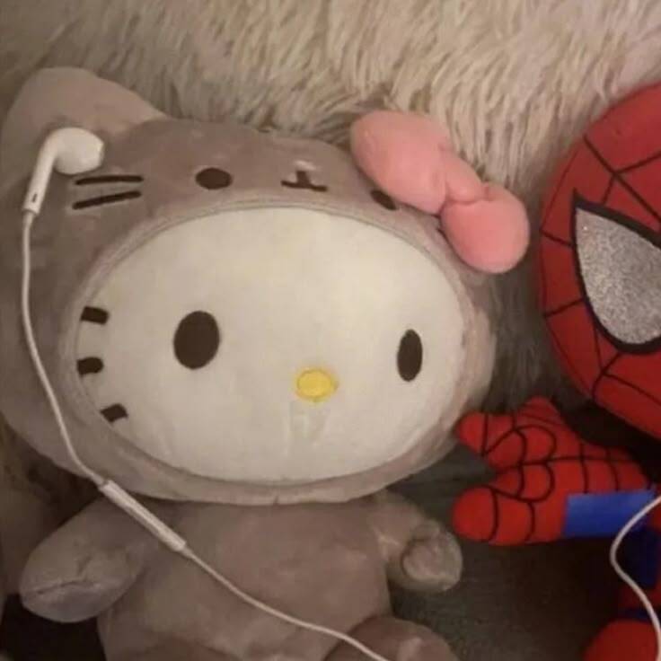 Foto de Perfil para Casal Combinando de Hello Kitty e Homem Aranha