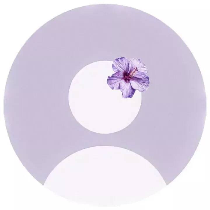 Foto de Perfil Roxa com Flor Bonita
