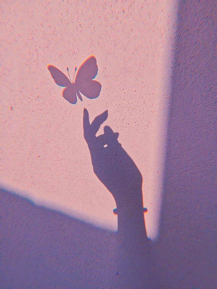 Butterfly Shadow Purple Pfp Profile Picture