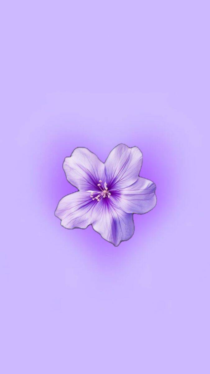 Purple Pfp Profile Picture with Delicate Flower