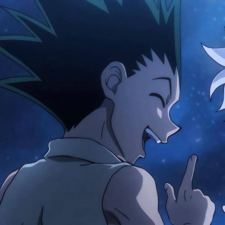 Killua's Pfp Profile Picture Smiling with Gon