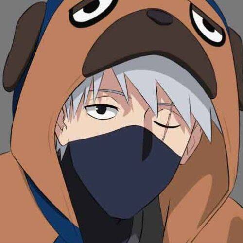 Pfp Profile Picture of Kakashi with Dog Hood