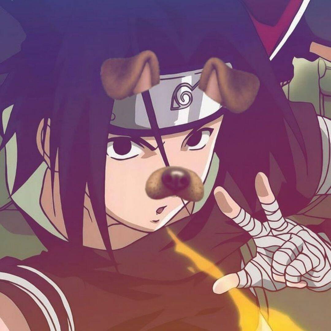 Cute Style Naruto Pfp Profile Picture with Puppy Filter
