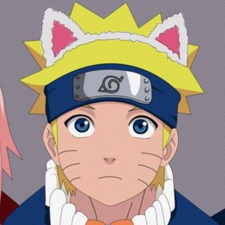 Naruto with Cat Ears Pfp Profile Picture