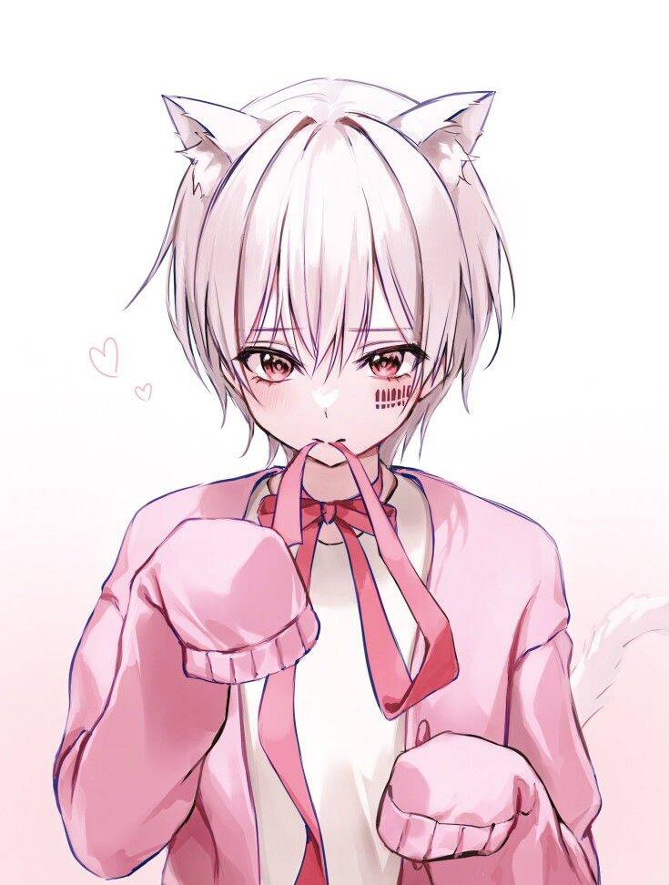 Foto de perfil de Femboy con orejas de gato y suéter rosa