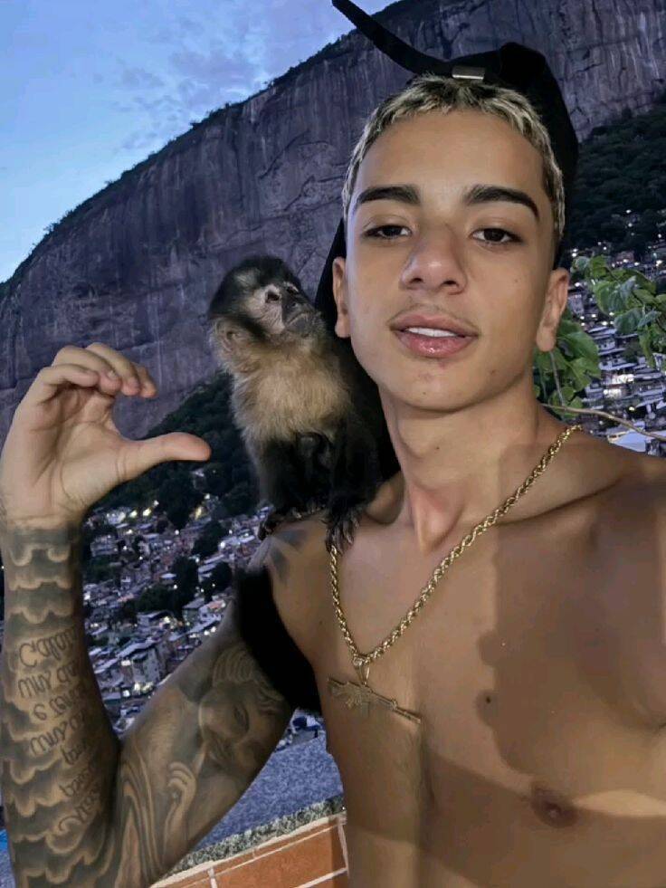 Pfp Profile Picture Cool with Monkey on Shorlder