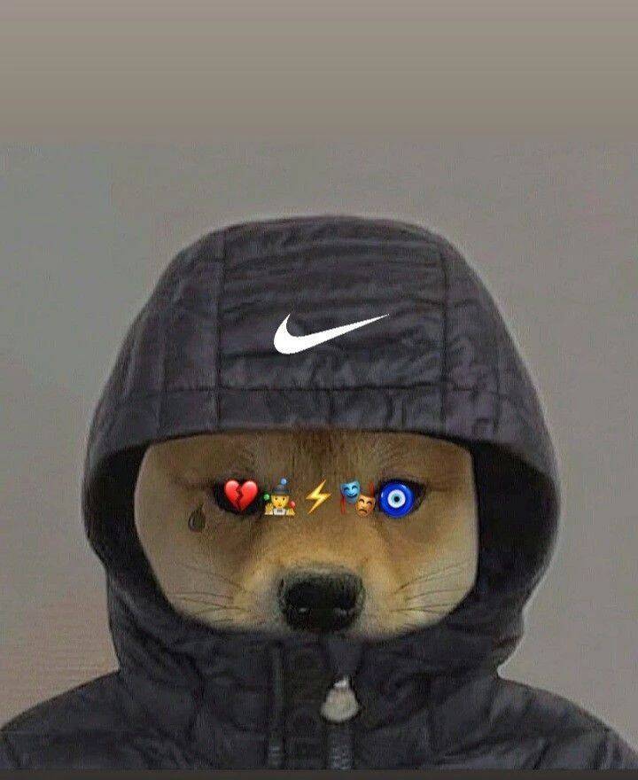 Pfp Profile Picture Cool with Nike Sweatshirt and Emojis