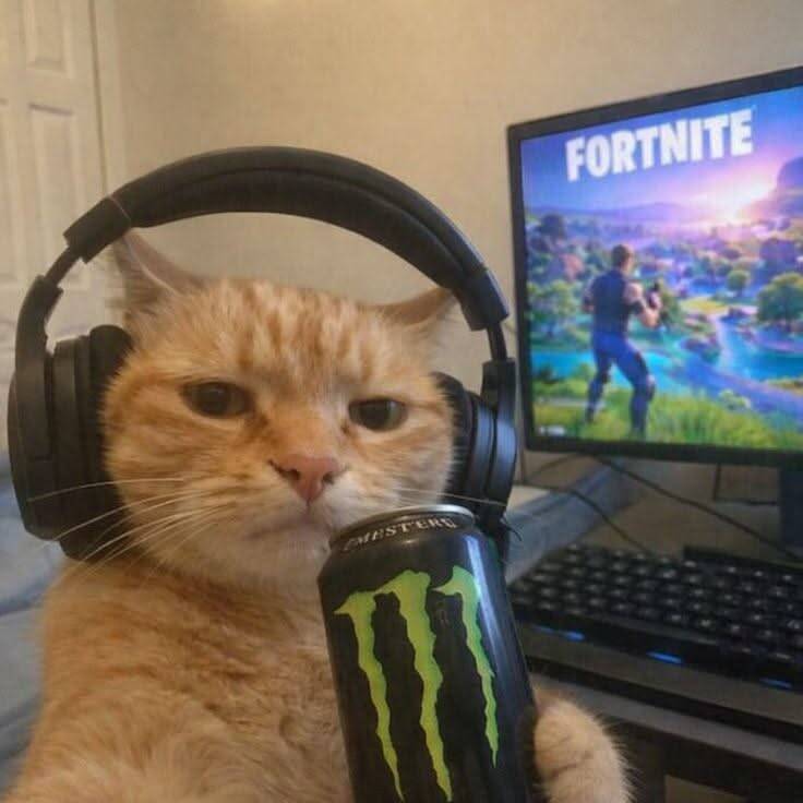 Foto de Perfil de Fortnite de Gato Jogador com Fone e Bebida