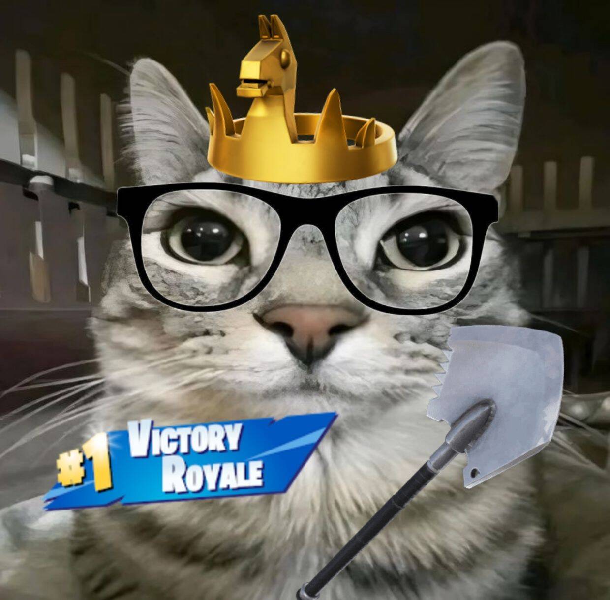 Foto de Perfil de Fortnite Engraçada de Gato com Óculos e Coroa