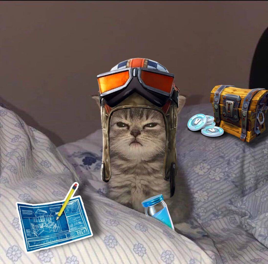Imagen de perfil de Fortnite de un gato gracioso con casco