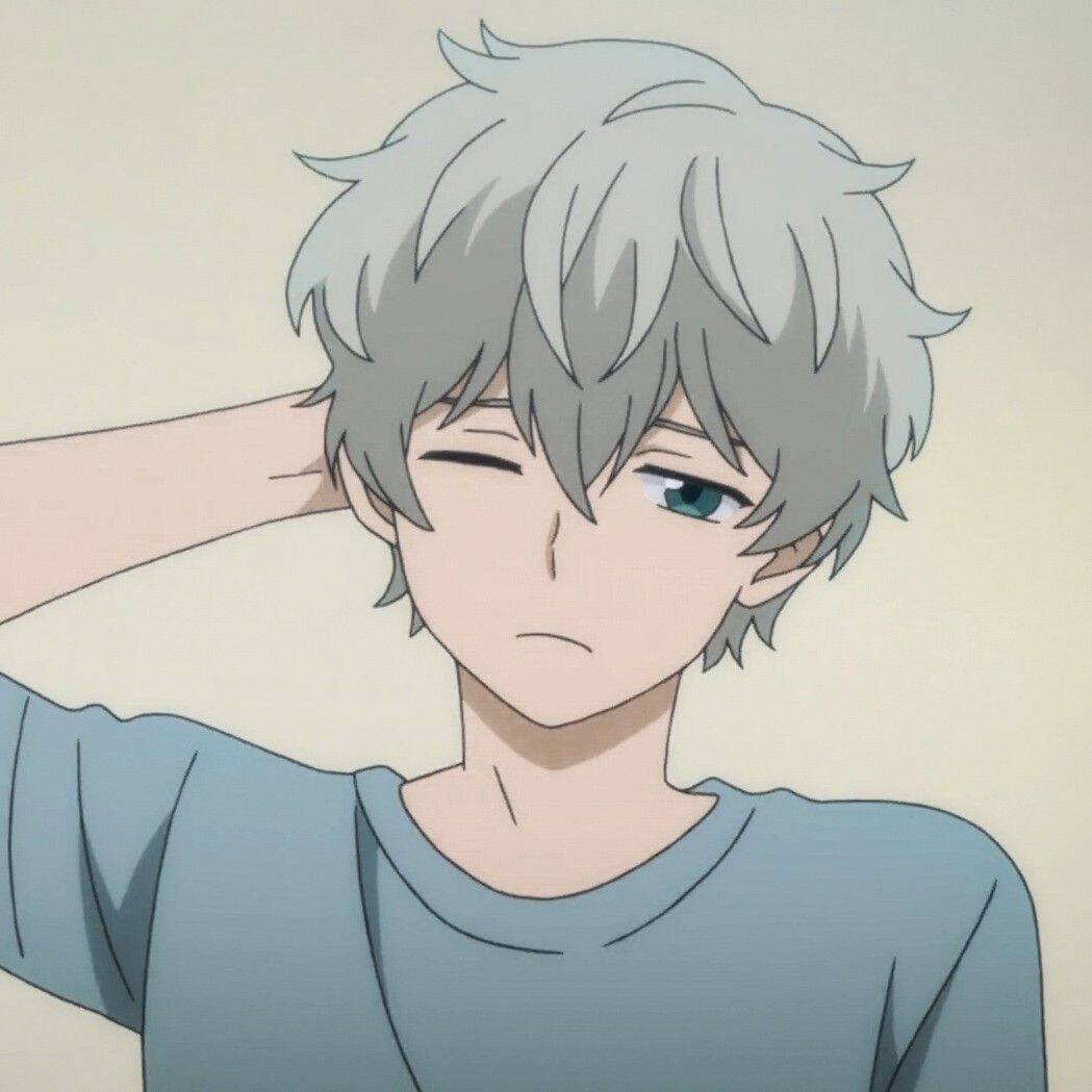 Foto de perfil de chico anime con cabello claro y expresión relajada