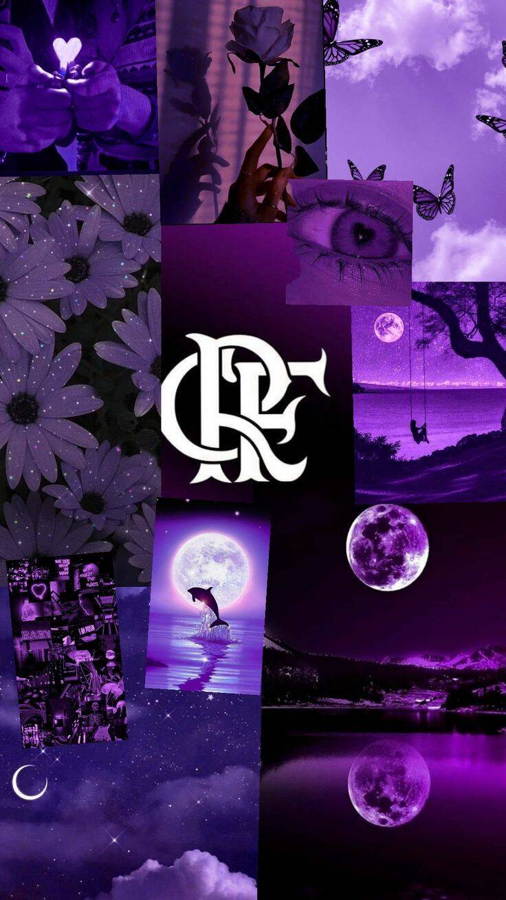Fondo de Pantalla de Flamengo con Fondo Morado para Celular/iPhone 4K