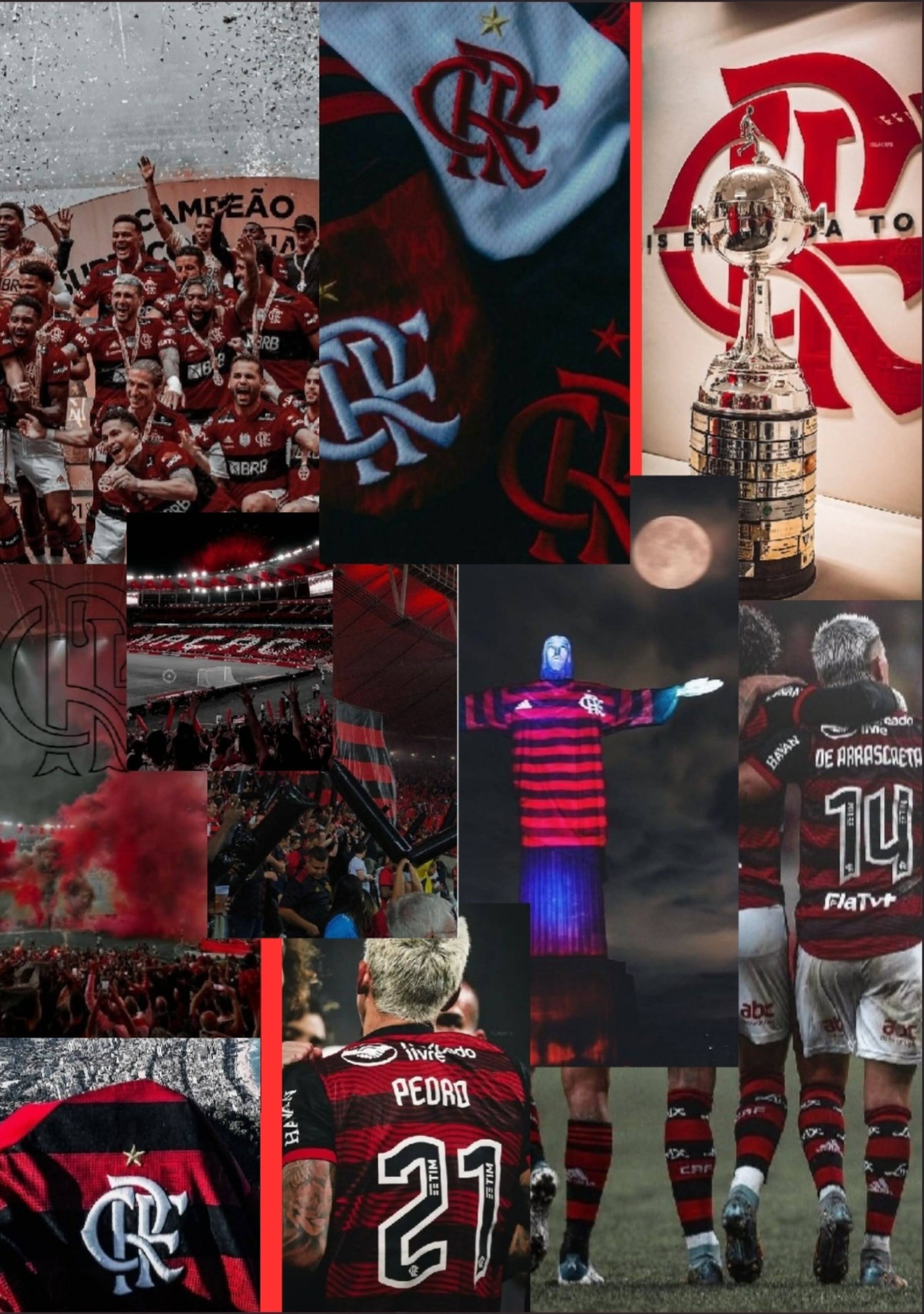 Papel de Parede do Flamengo com Torcida e Taça Libertadores para Celular/iPhone 4K