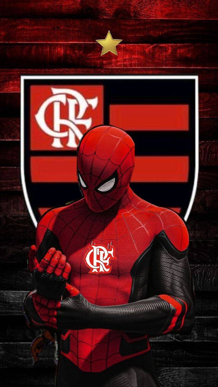 Fondo de Pantalla de Flamengo con Spiderman para Celular/iPhone 4K