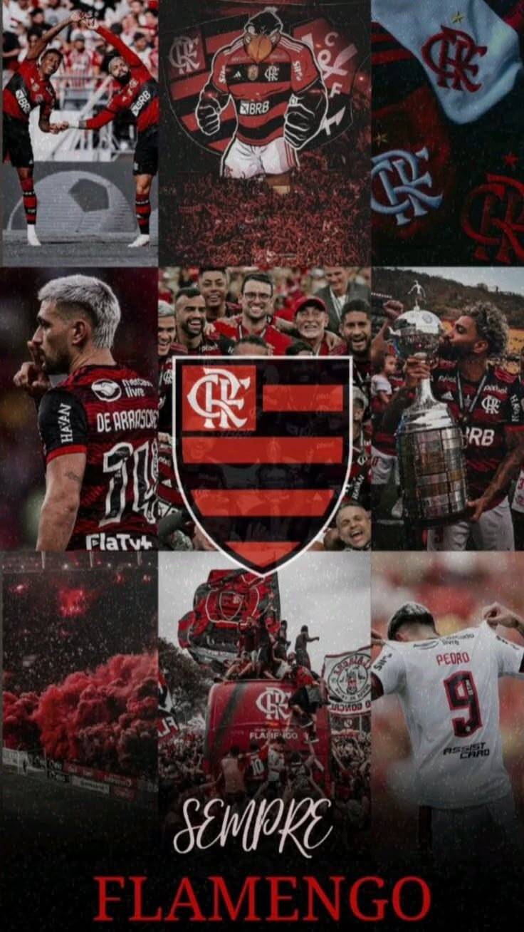 Papel de Parede do Flamengo com Escudo e Torcida para Celular/iPhone 4K