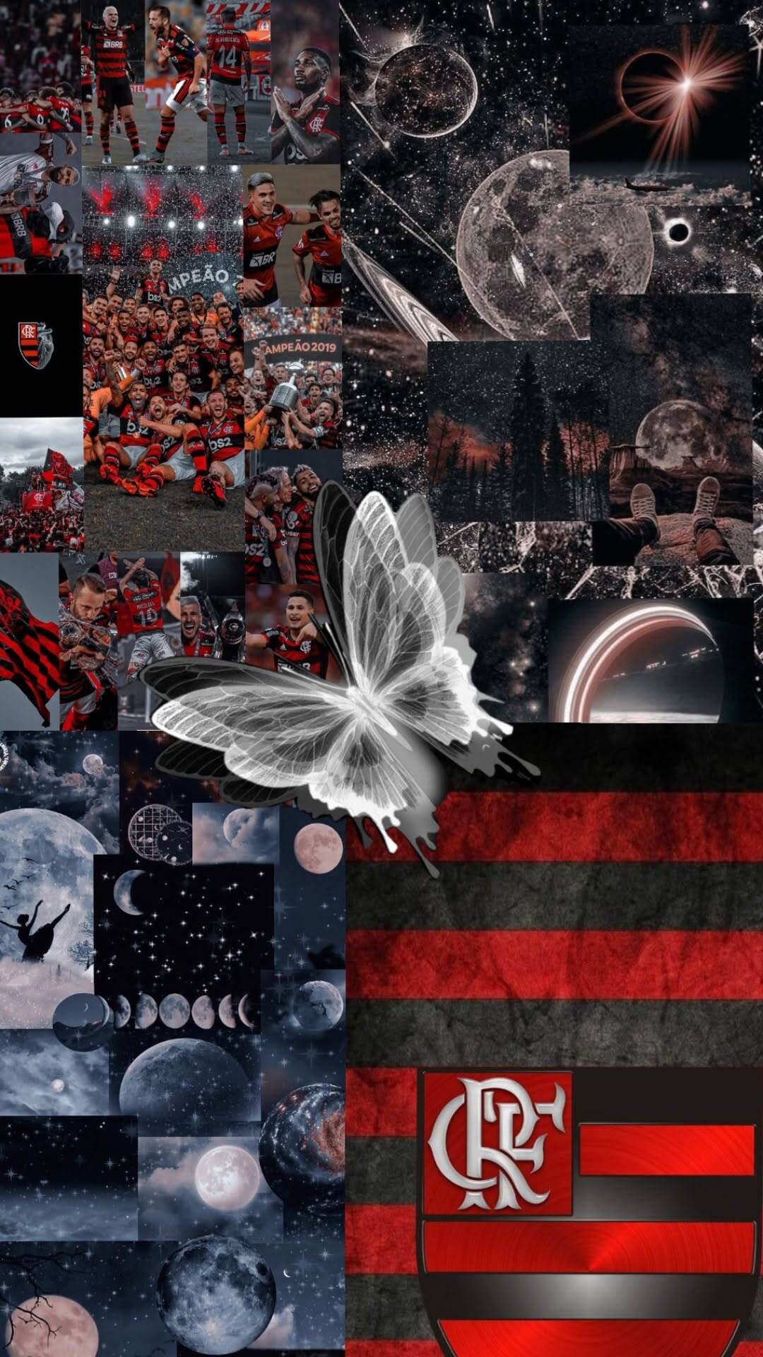 Fondo de Pantalla de Flamengo con Galaxia y Mariposa para Celular/iPhone 4K