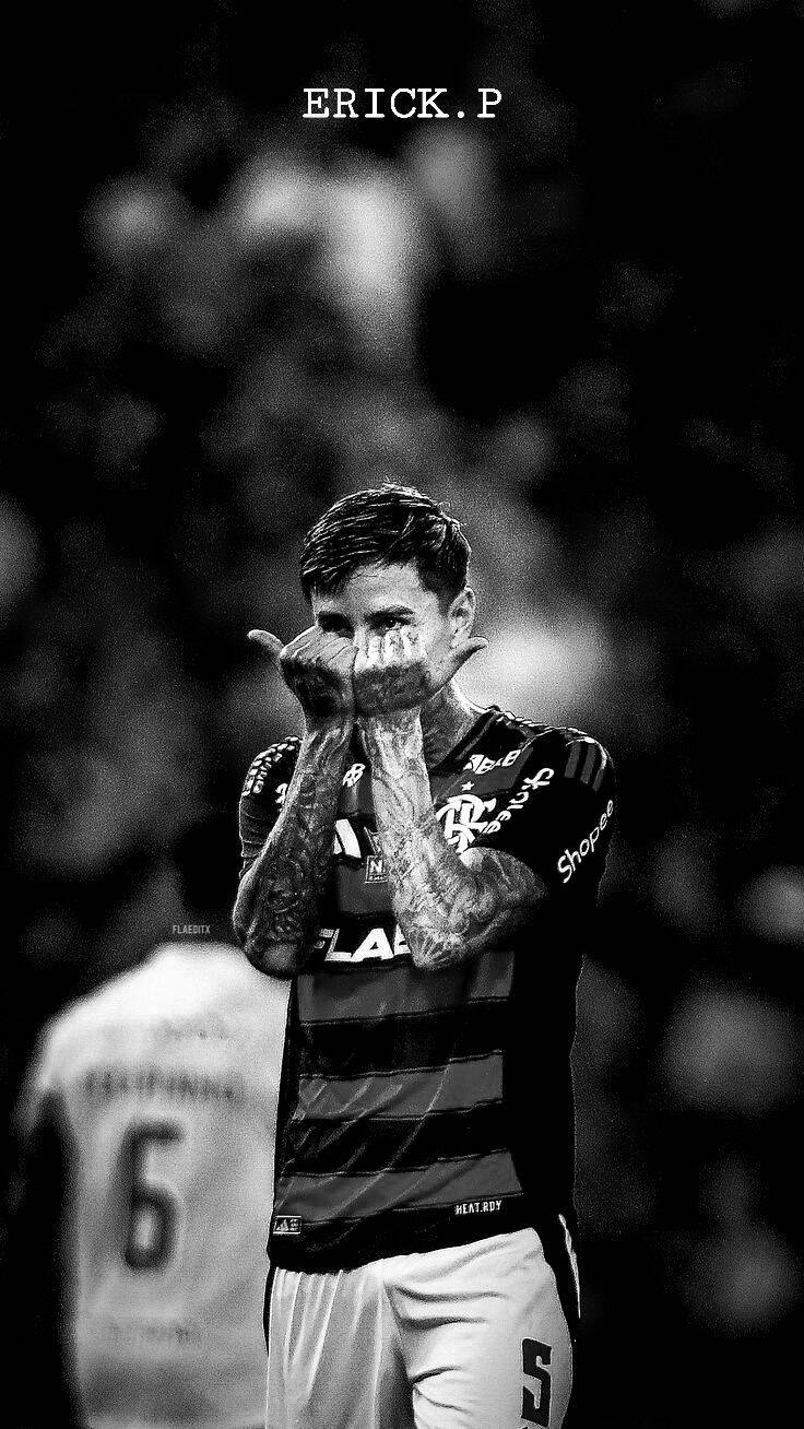Fondo de Pantalla de Flamengo con Reproductor para Celular/iPhone 4K