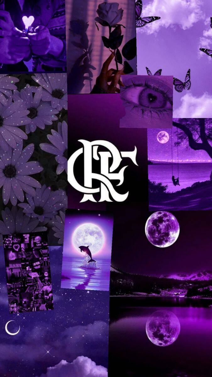 Fondo de Pantalla de Flamengo Morado y Blanco para Celular/iPhone 4K