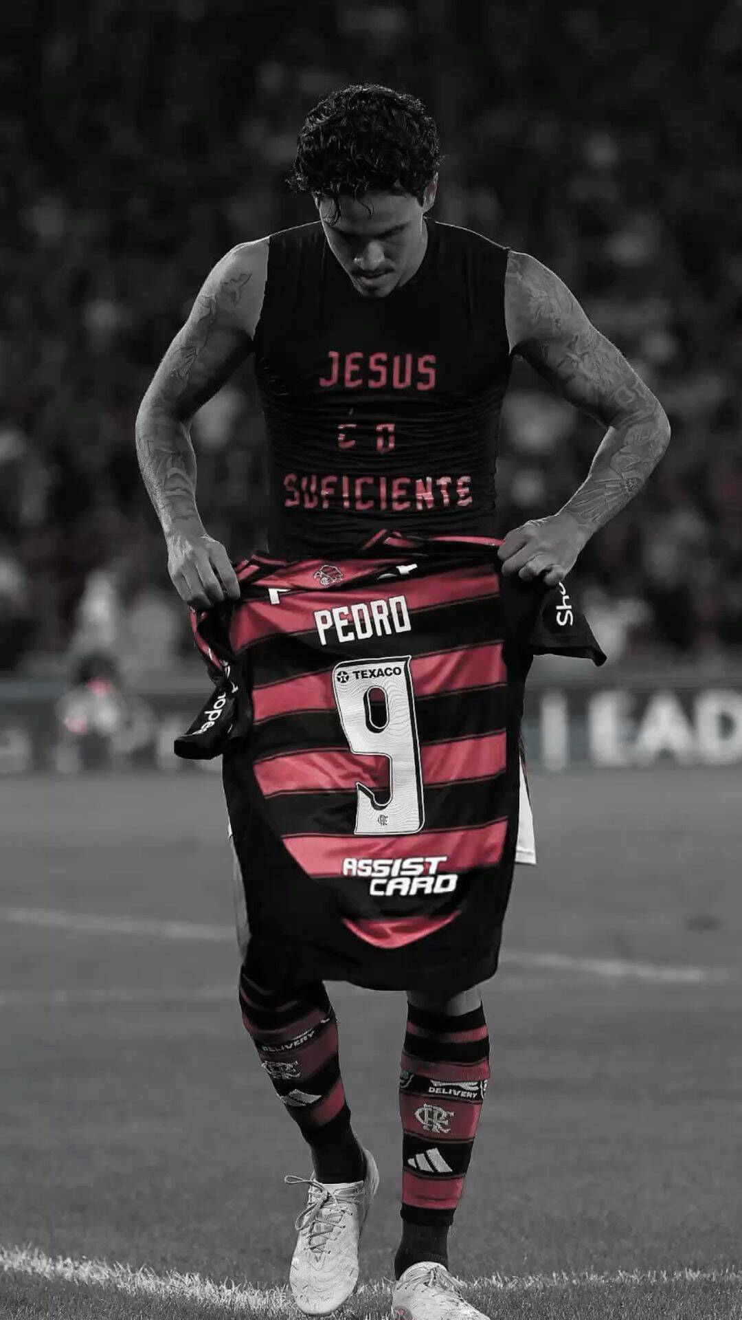 Fondo de Pantalla de Flamengo con Pedro para Celular/iPhone 4K