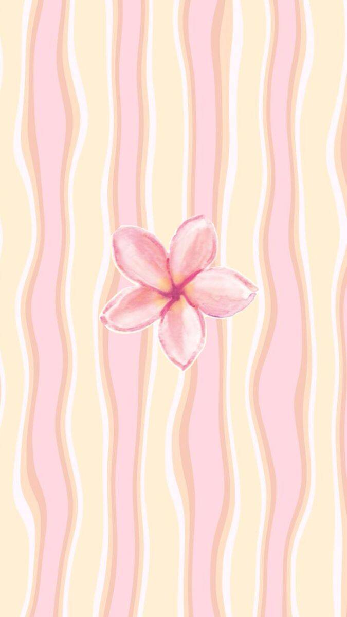 Papel de Parede Aesthetic com Flor Rosa e Listras para Celular/iPhone