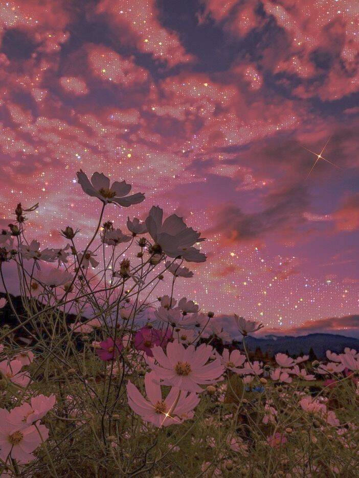 Papel de Parede Aesthetic Flores em Céu Rosa para Celular/iPhone