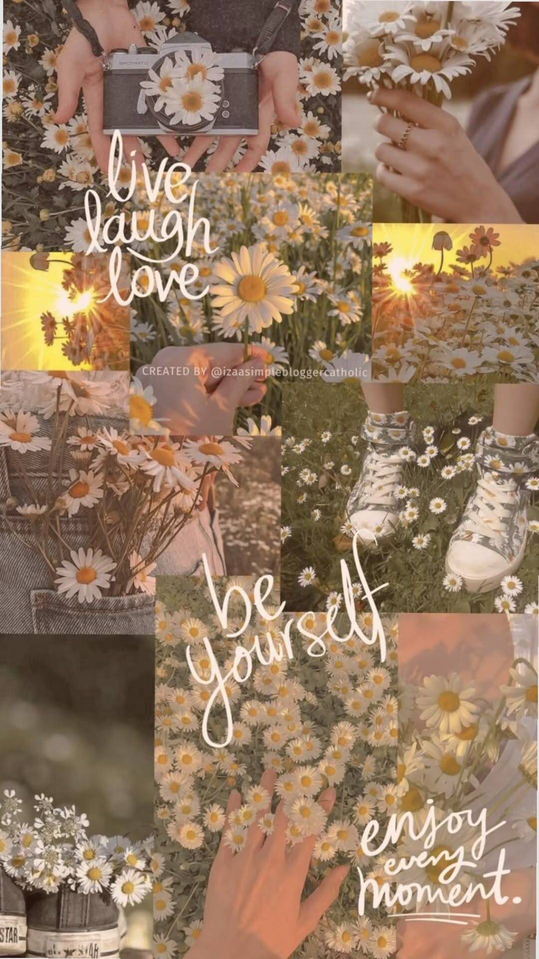 Papel de Parede Aesthetic Flores e Mensagens Positivas para Celular/iPhone