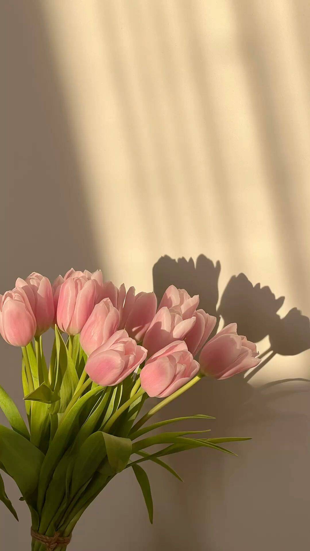 Papel de Parede Aesthetic Flores de Tulipas para Celular/iPhone