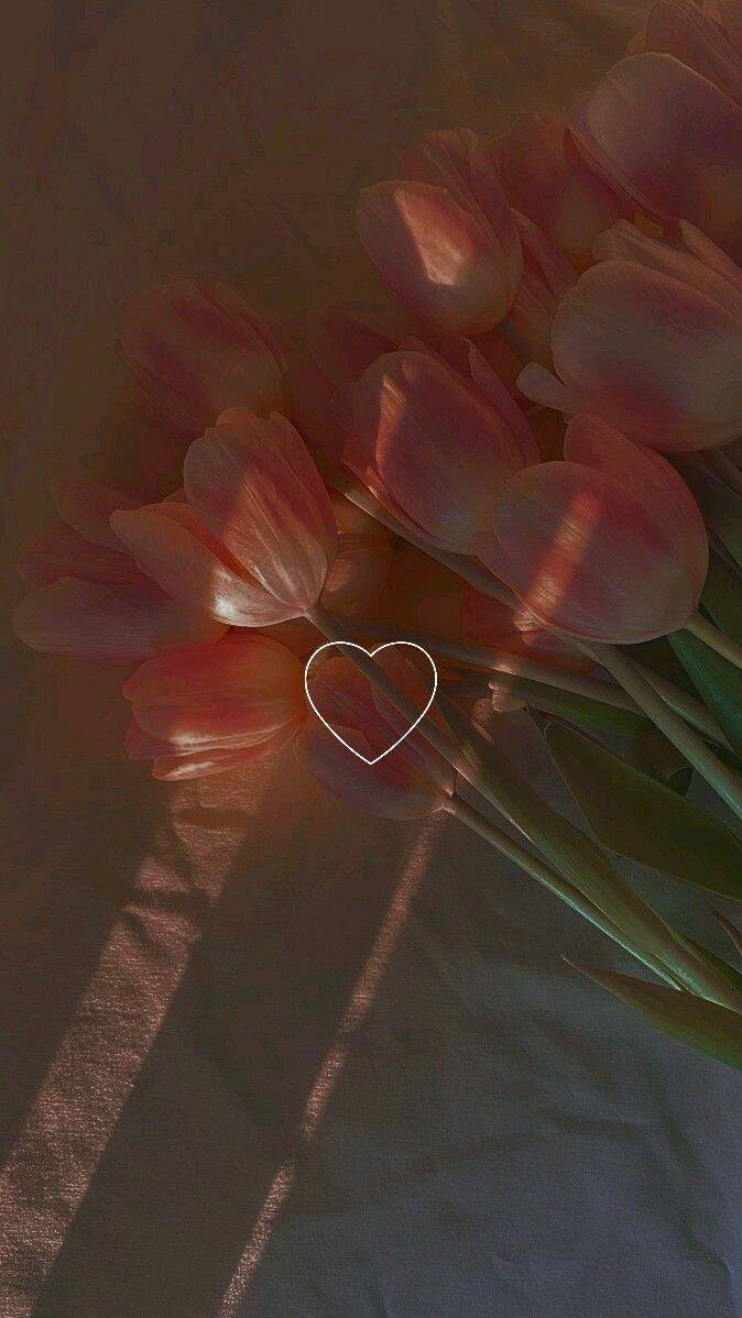 Papel de Parede Aesthetic com Tulipas para Celular/iPhone